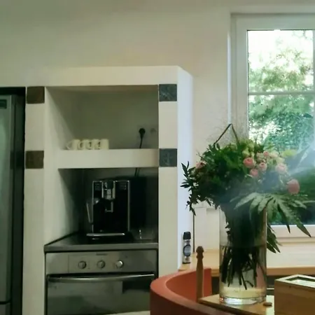 Caterina * ז'שוב