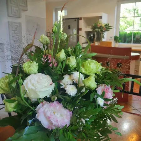 Caterina * ז'שוב