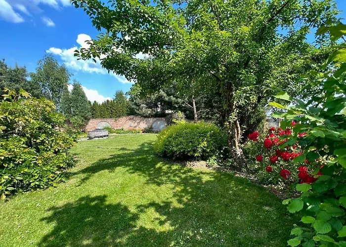 Caterina ジェシュフ